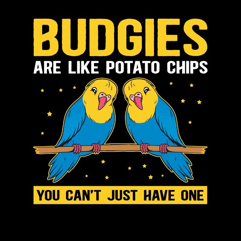 Cadeau de perruche du propriétaire de Budgerigar