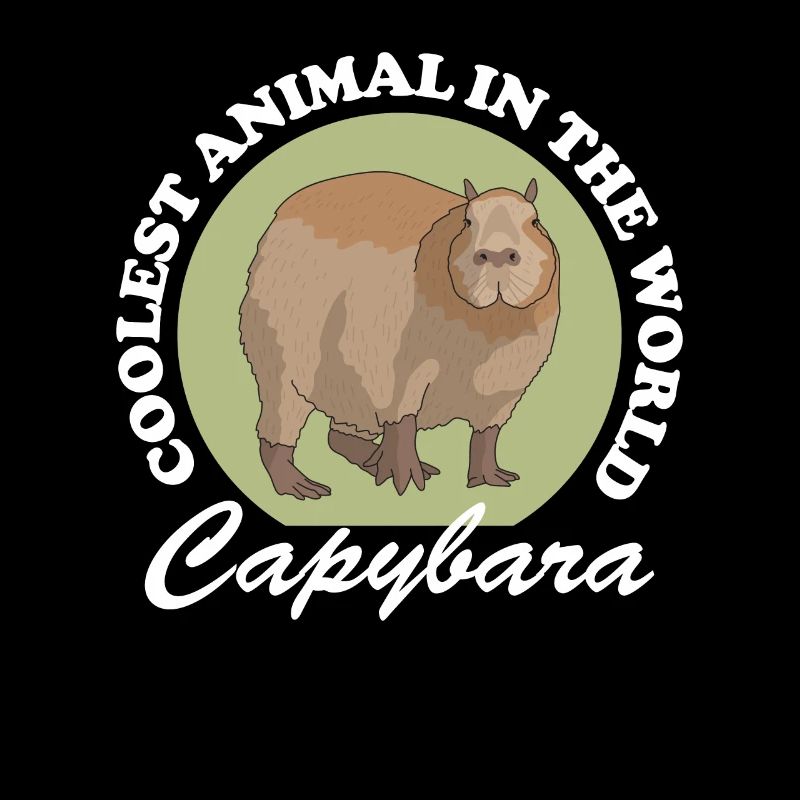 Capybara capybaras Capybaras cadeau