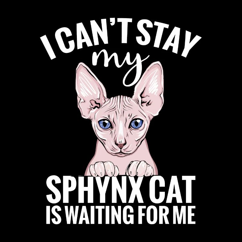 "Je ne peux pas rester, mon chat Sphynx m’attend