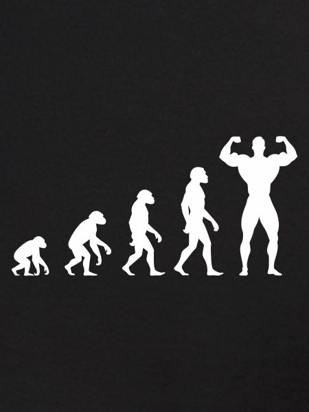 Evolution vom Urmenschen zum Muskelprotz