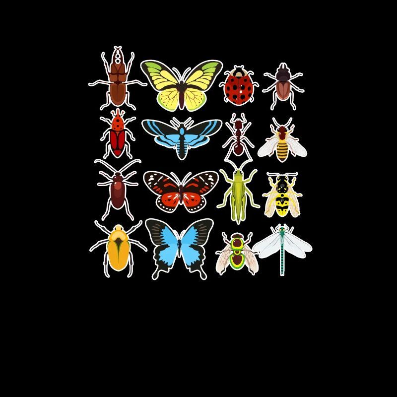 insectes