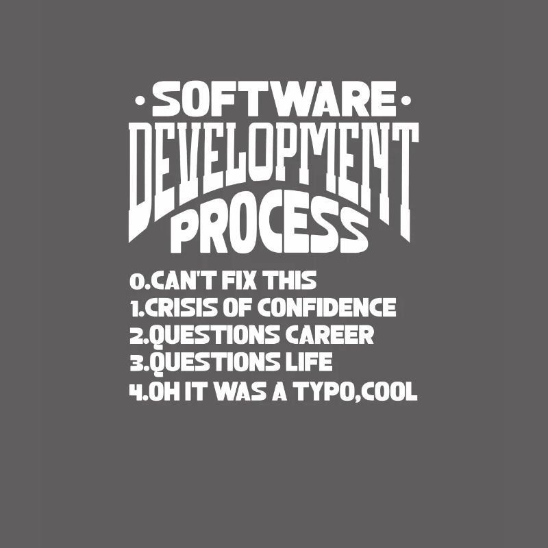 Softwareentwickler Programmierer Software