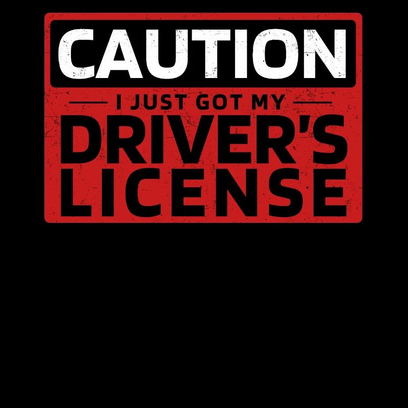New driving licence