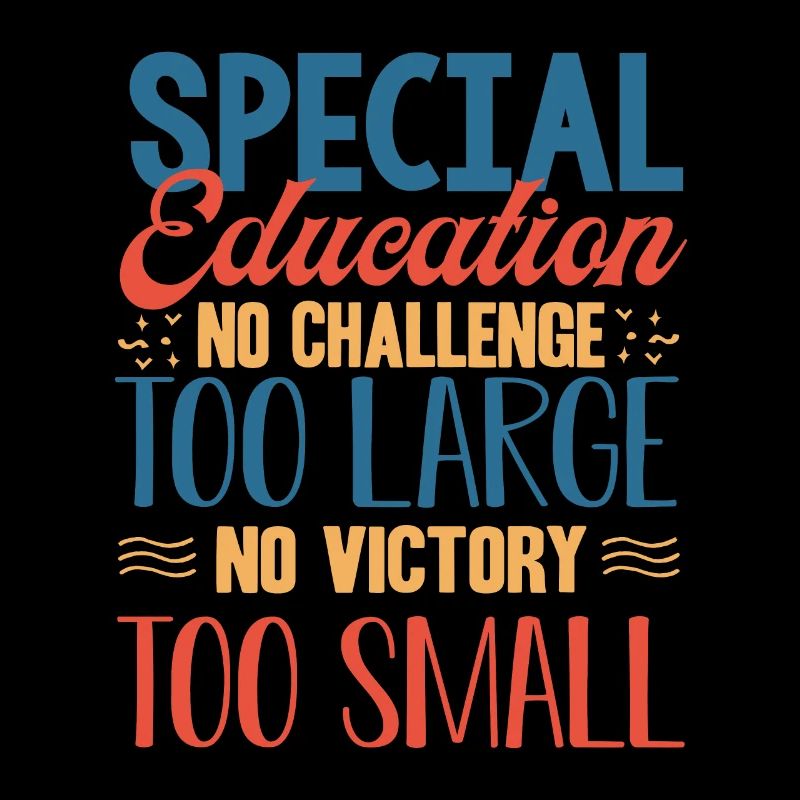 Special Needs Education, Special Education