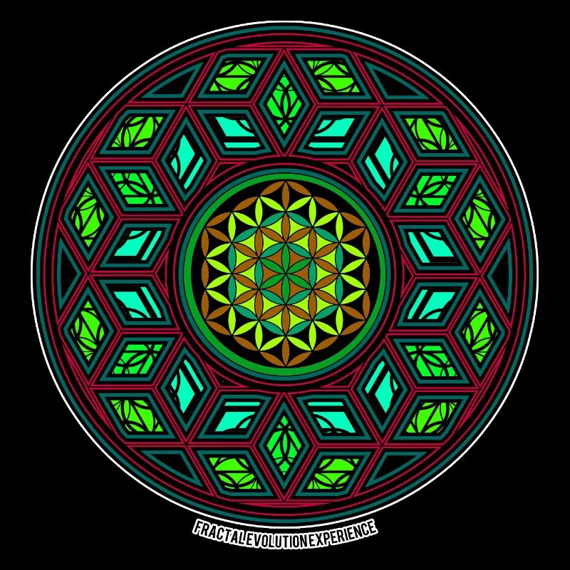 Fractal Evolution Kaleidoskop Mandala Muster Yoga
