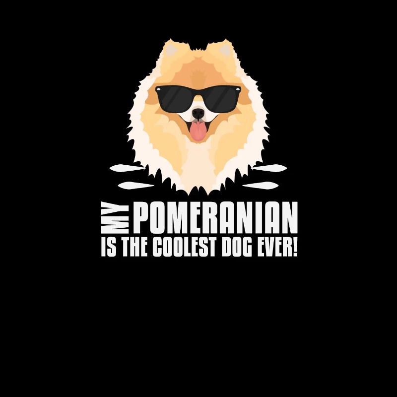 Mon spitz nain est le plus cool