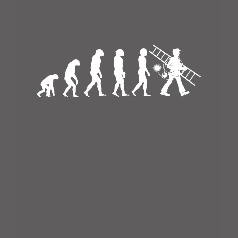 Ramoneur Evolution Cheminée Cheminée