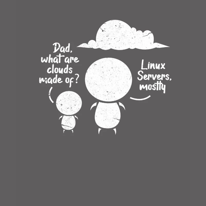 Softwareentwickler Programmierer Software Linux