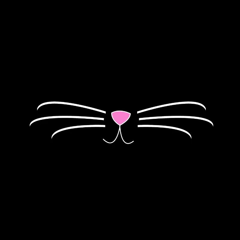 Chat, chat, cadeau, propriétaire de chat