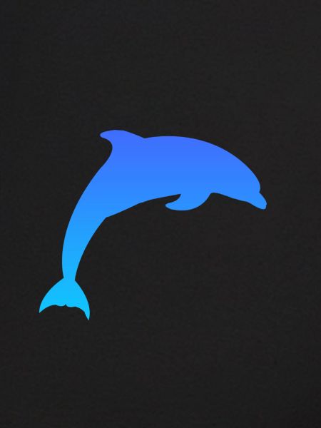 Dauphin Dolphin
