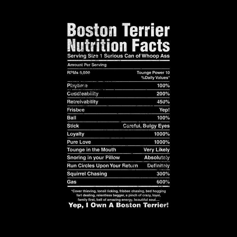 Boston Terrier