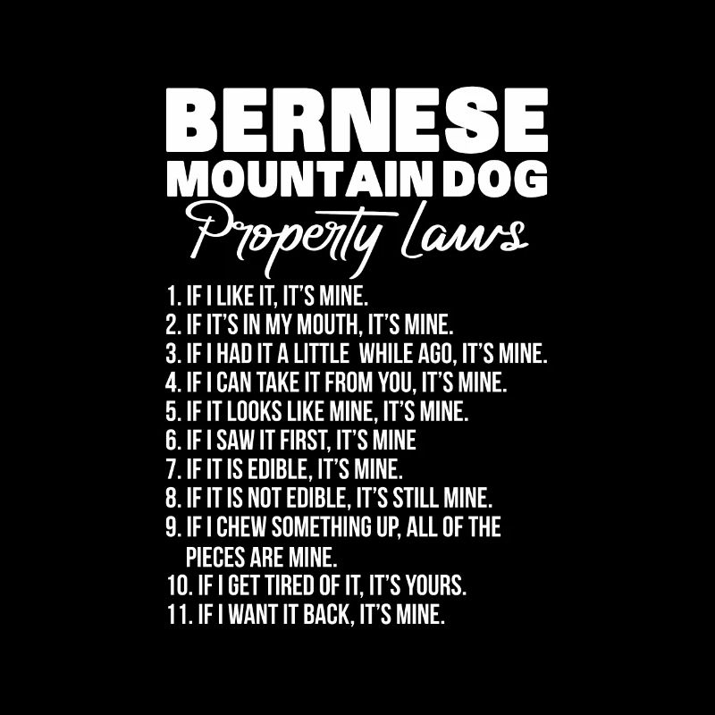 Bouvier bernois