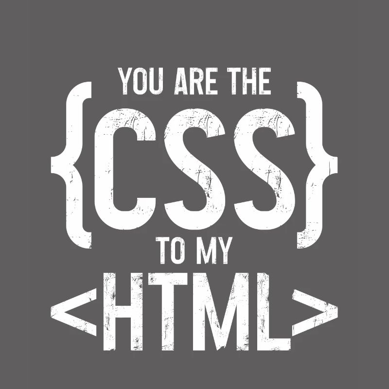 Vous êtes le CSS de mon HTML 3