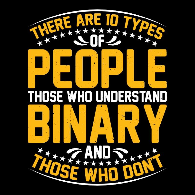 There Are 10 Types Of People, Binary Joke 13