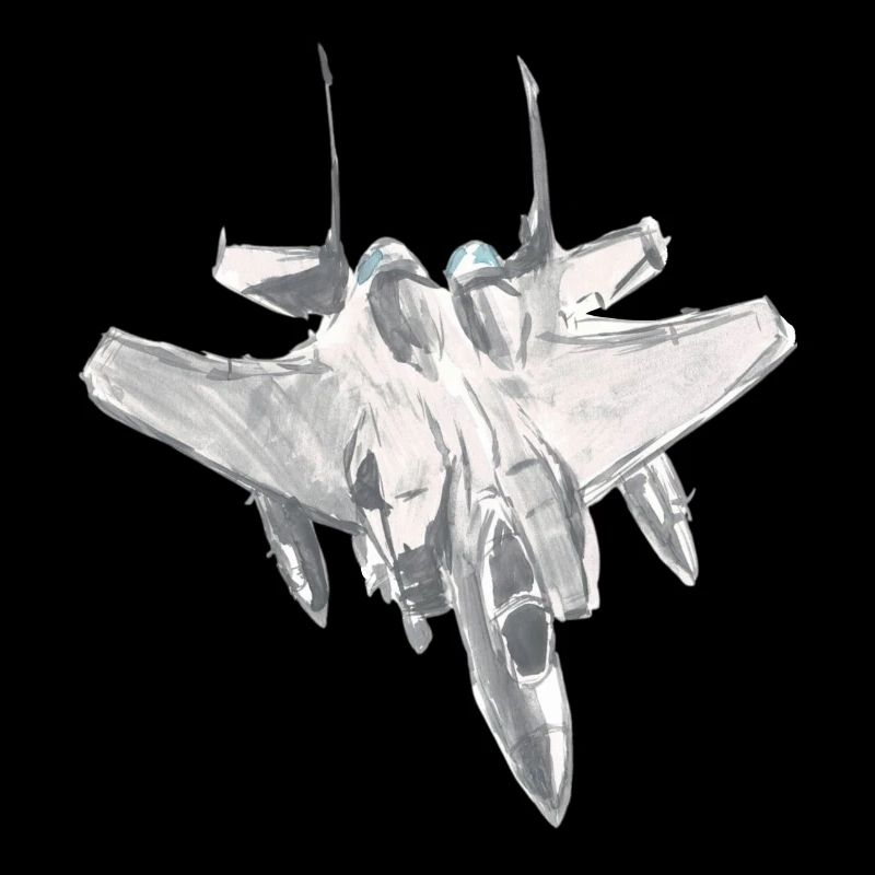 F15 Fighter Jet Pilot Aviation Shirt Gift Idea