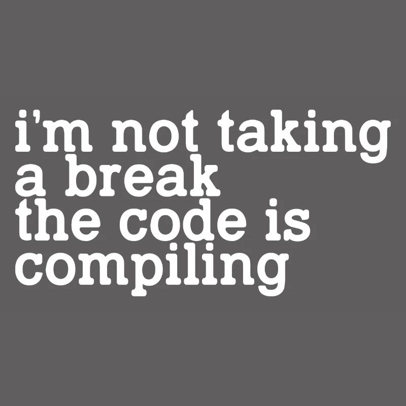 I'm Not Taking A Break, The Code Is Compiling