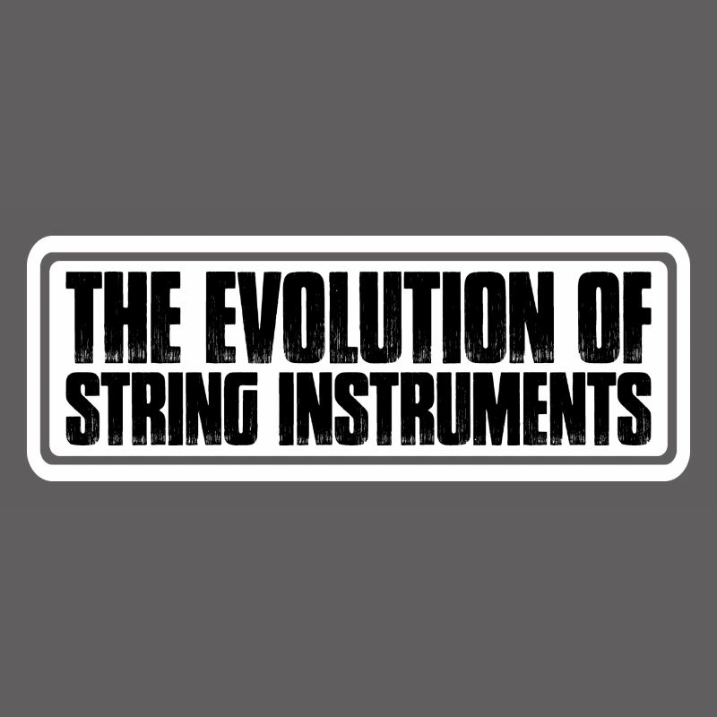 The Evolution Of String Instruments 4