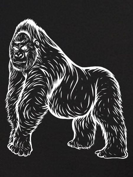 Gorilla