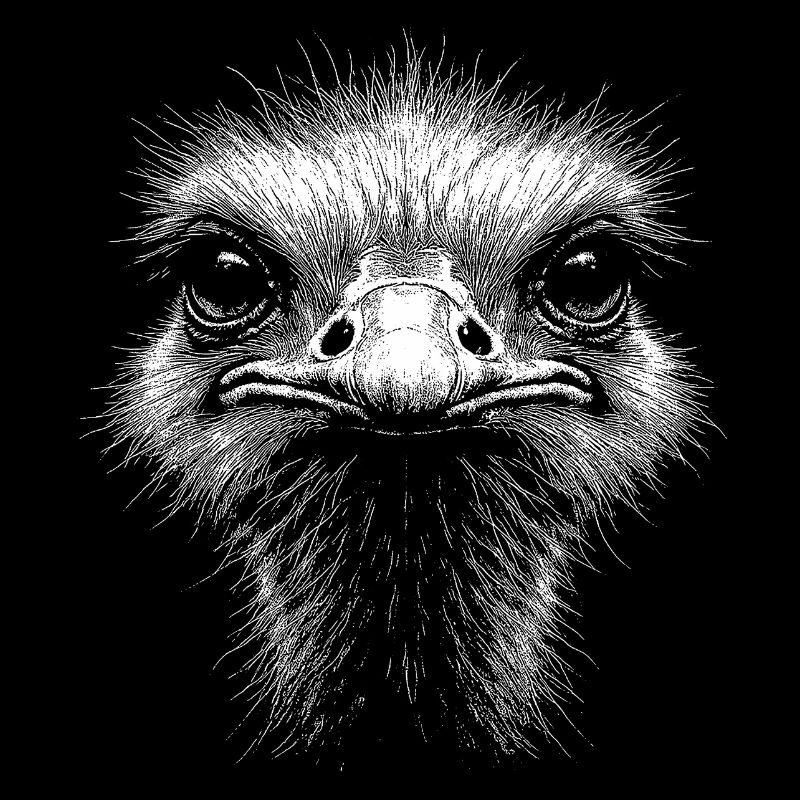 Ostrich Head