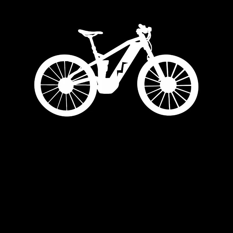 Vélo électrique vélo électrique vélo eBike E-MTB Vélo
