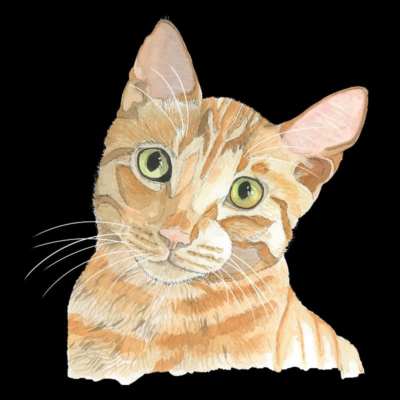 red cat