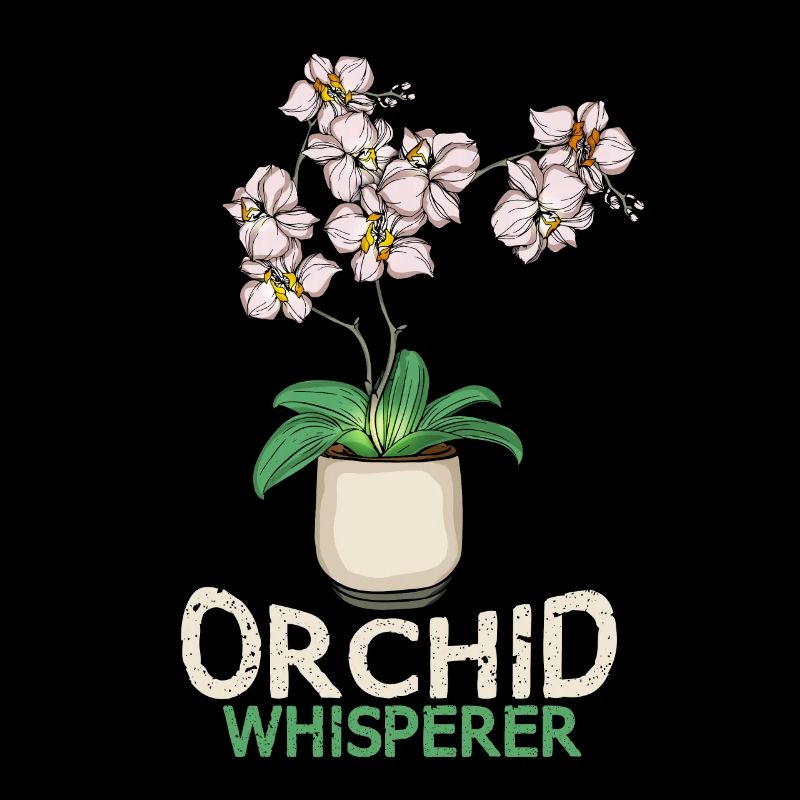 Orchidée Cadeau Femmes Fleur Fleuriste Orchidée