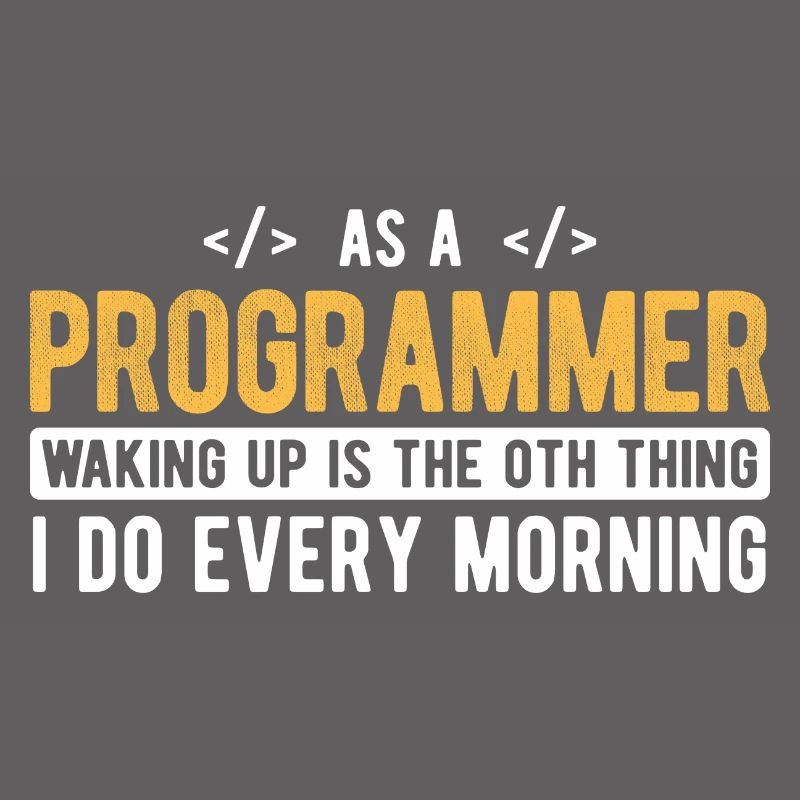 Software Ingenieur Informatiker Programmierer