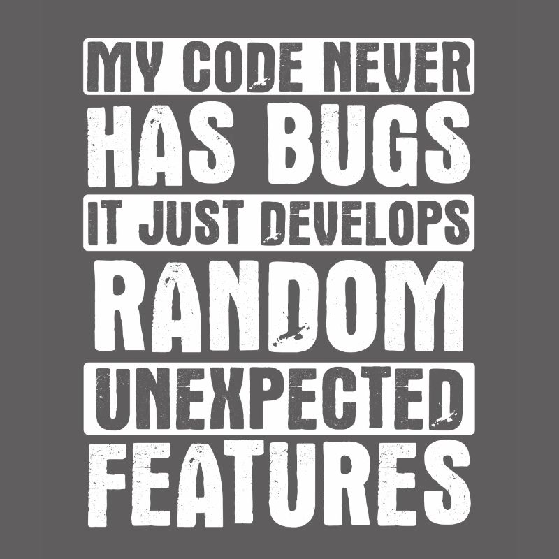 Software Ingenieur Informatiker Programmierer