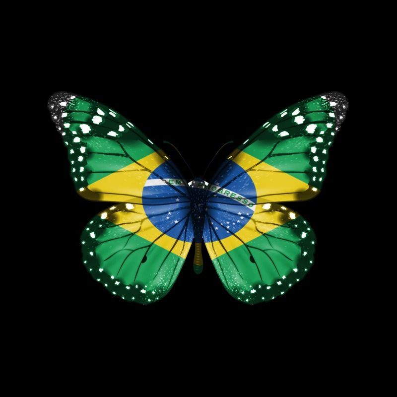 Drapeau papillon du brésil