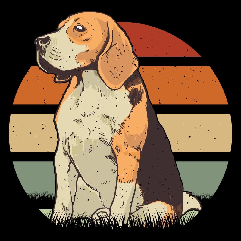 Beagle Zeichnung Beagle Hund