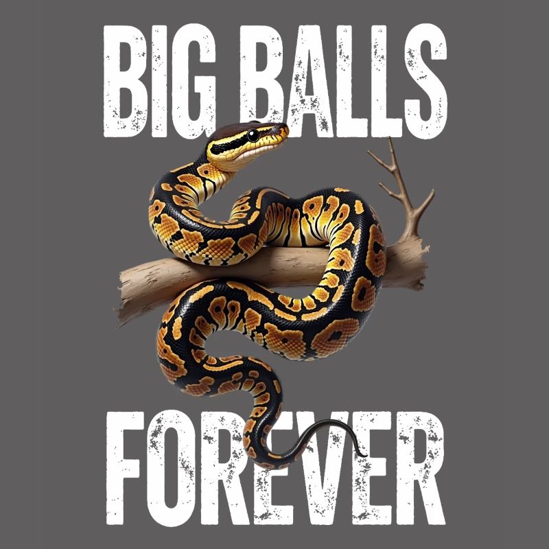 Kongepython Slanger Elsker Terrarium Python