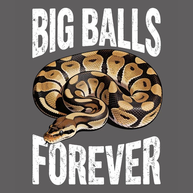 Python roi Serpents Amateurs de terrarium Python