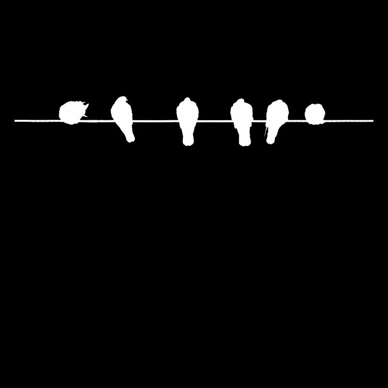 Birds on the tightrope