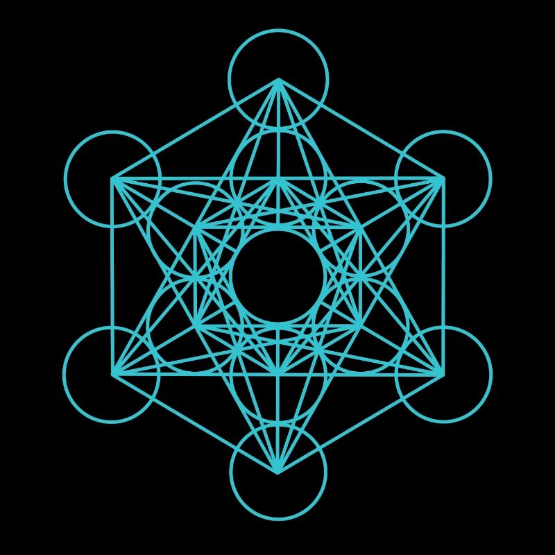 Metatrons Cube 18