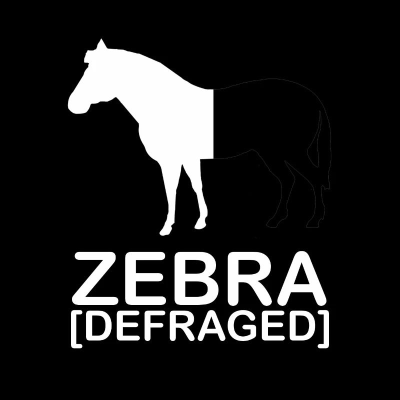 Zebra [defraged] | IT | Ordinateur | Nerd | Geek