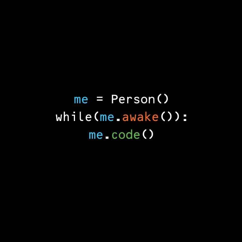 Programmeur