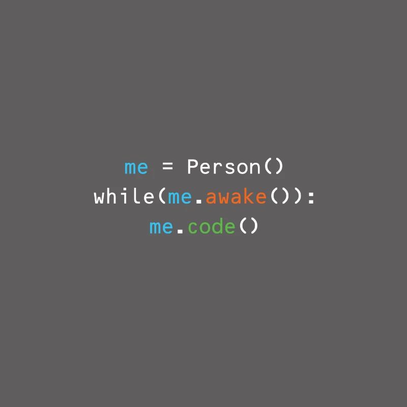 Programmer