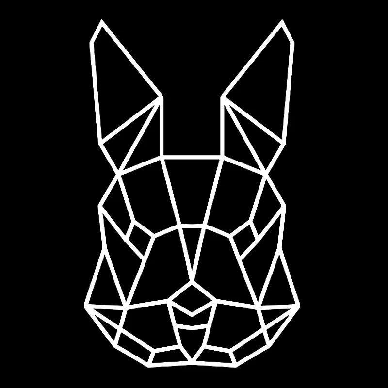Lapin lapin poly
