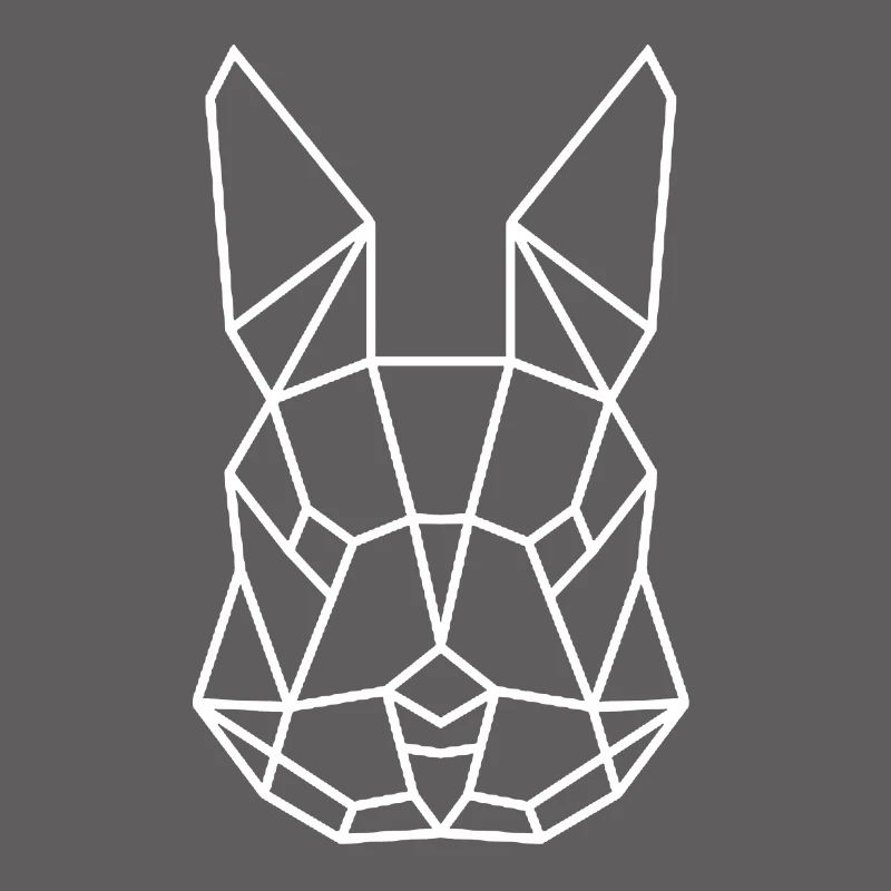 Lapin lapin poly