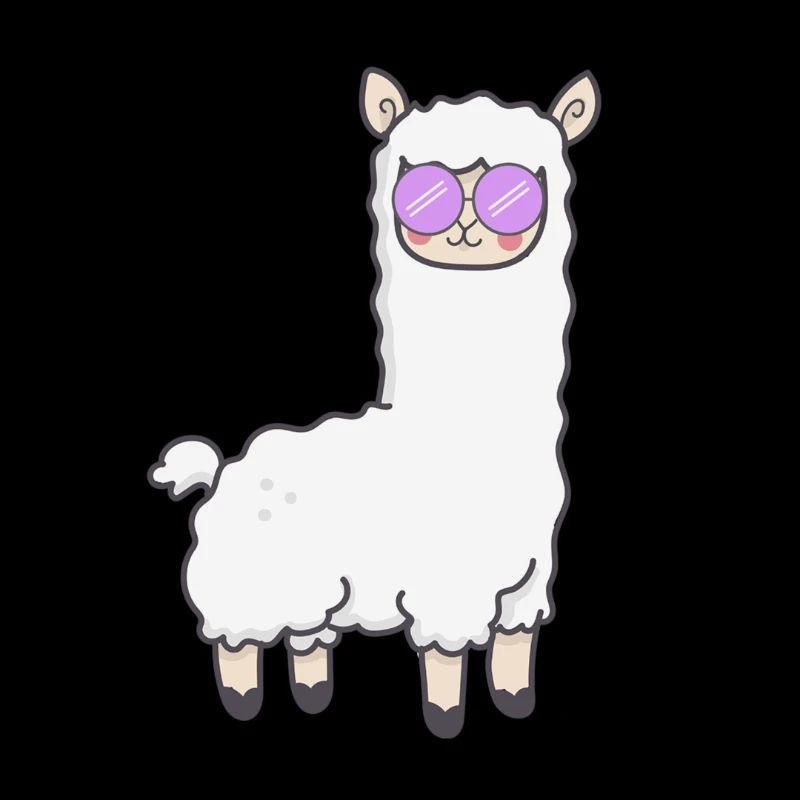 Cool llama alpaca sunglasses gift