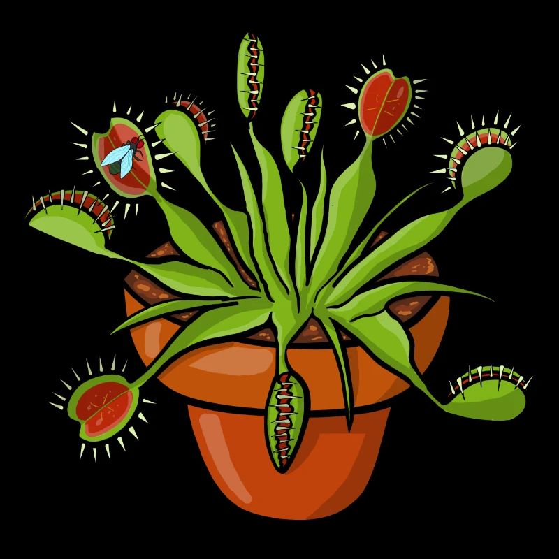 The Venus flytrap can count