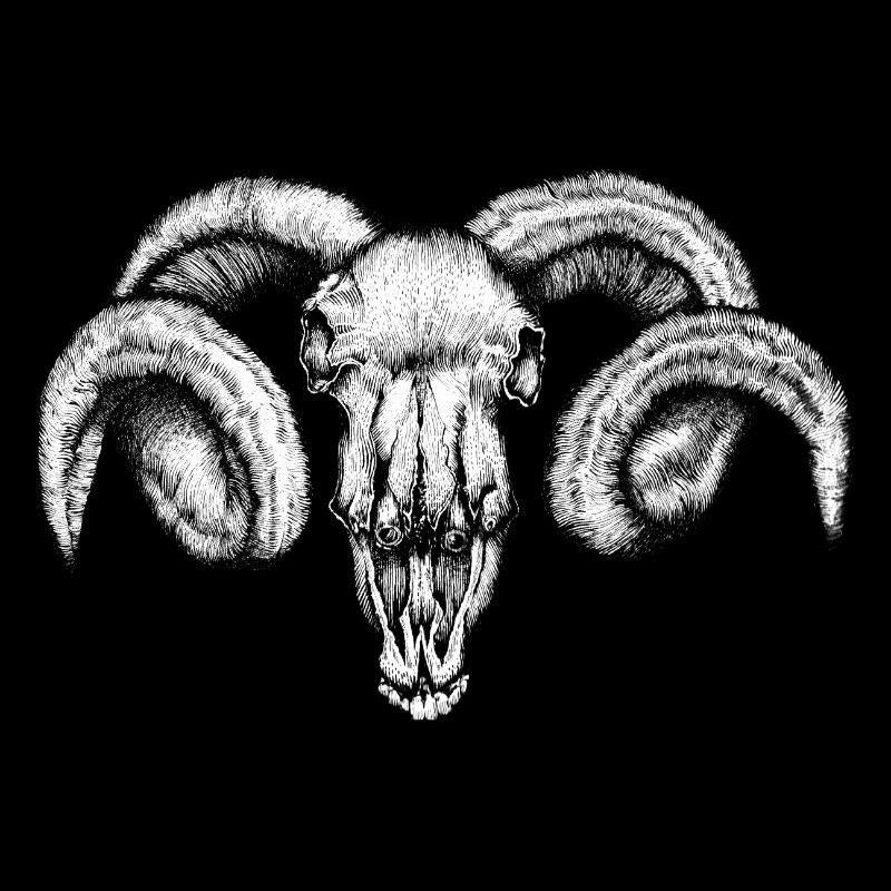 ram