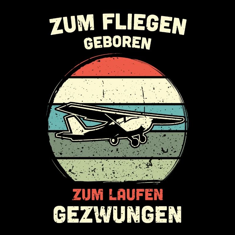 Modellflugzeug Modellflieger Modellbau Flugzeug