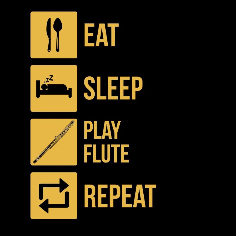 Querflöte Querflötenspieler Querflötist