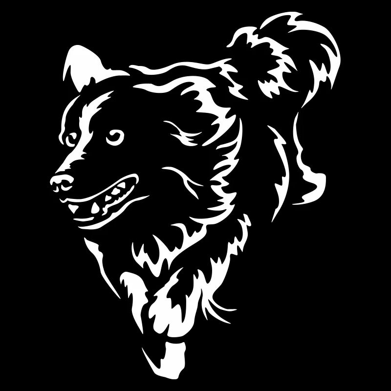 Border Collie "Black Edition"
