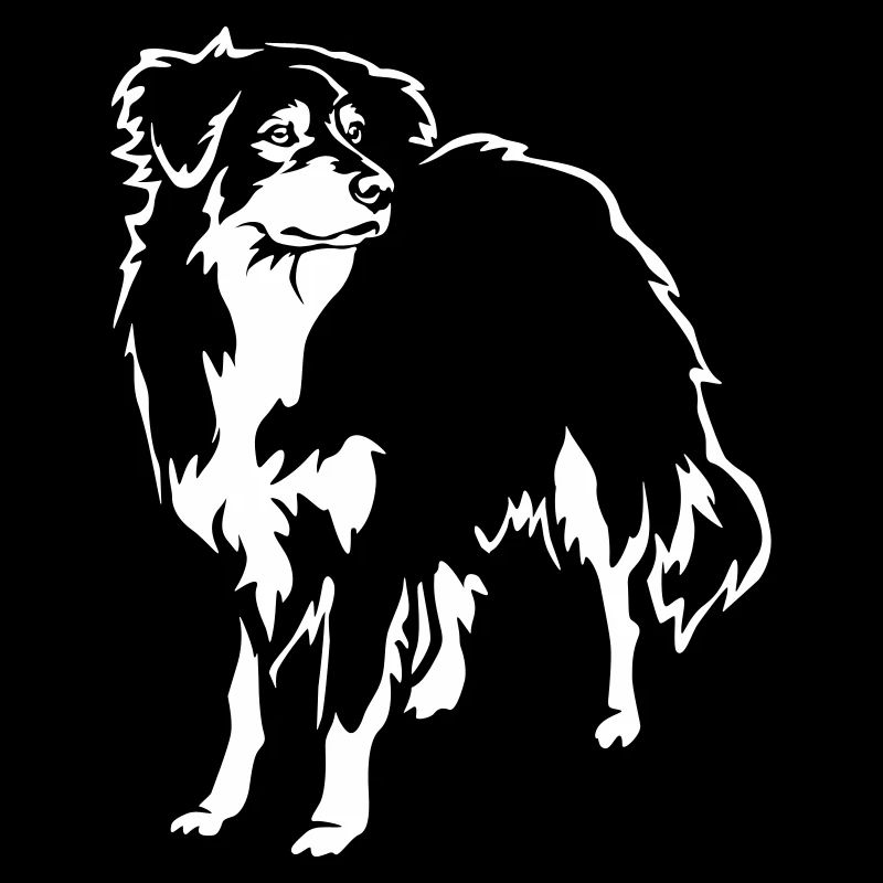 Australian Shepherd "Black Edition"