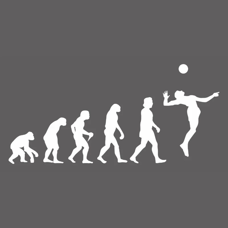 Evolution Volleyball Aufschlag Geschenkidee