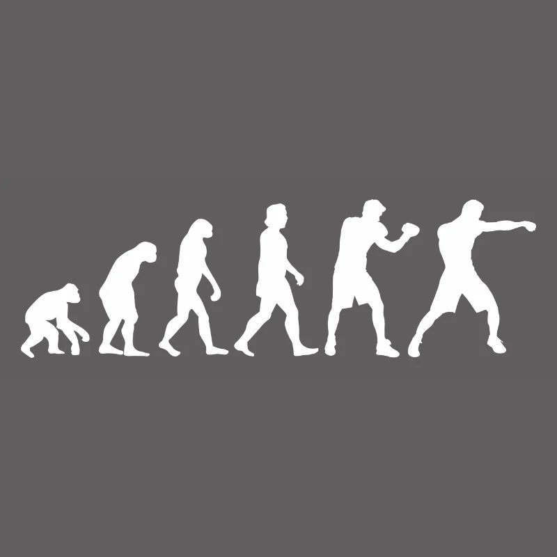 Gants de boxe Evolution Boxer cadeau de boxe