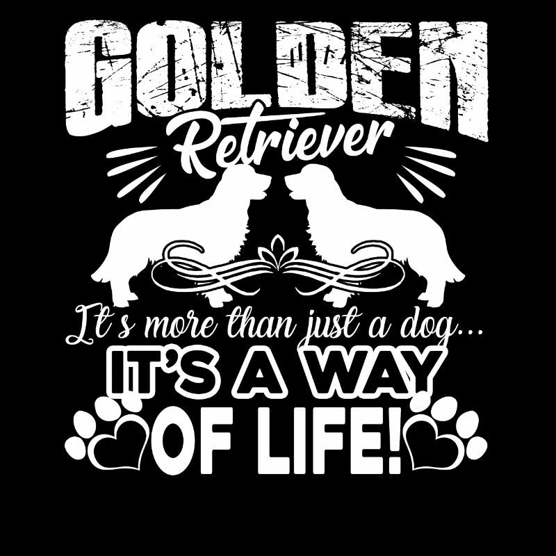 Golden Retriever, c'est un mode de vie