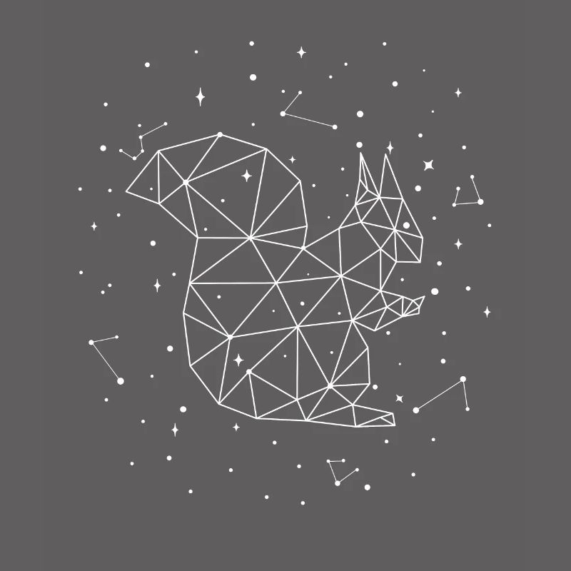 Sternbild Squirrel Constellation Eastern Gray Fox